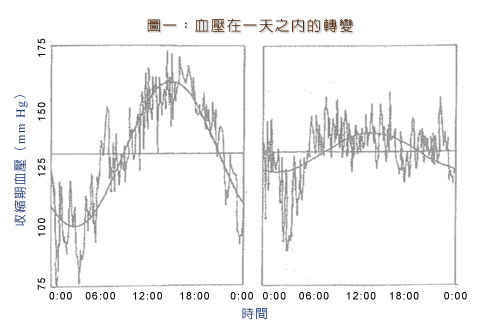 七日規律的啟示