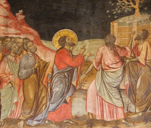 耶穌咒詛無花果樹