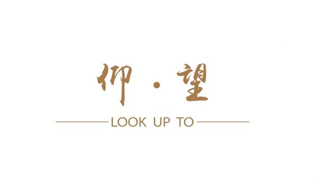 仰望 LOOK UP TO